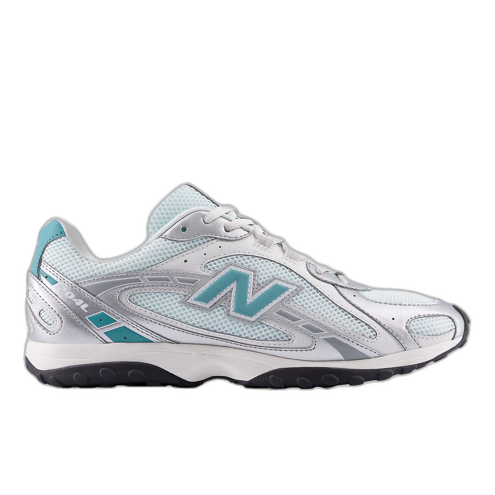 204L Light Silver Metallic